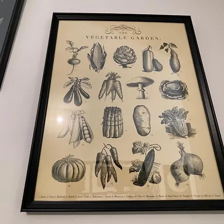 Maya Nest, Sampay Bay E Chicco - Urban Vibe In The Heart Of Bari